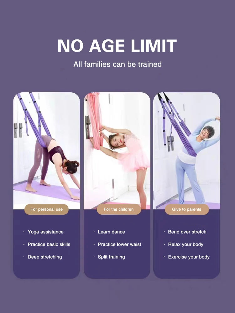 Aerial Split Training Belt