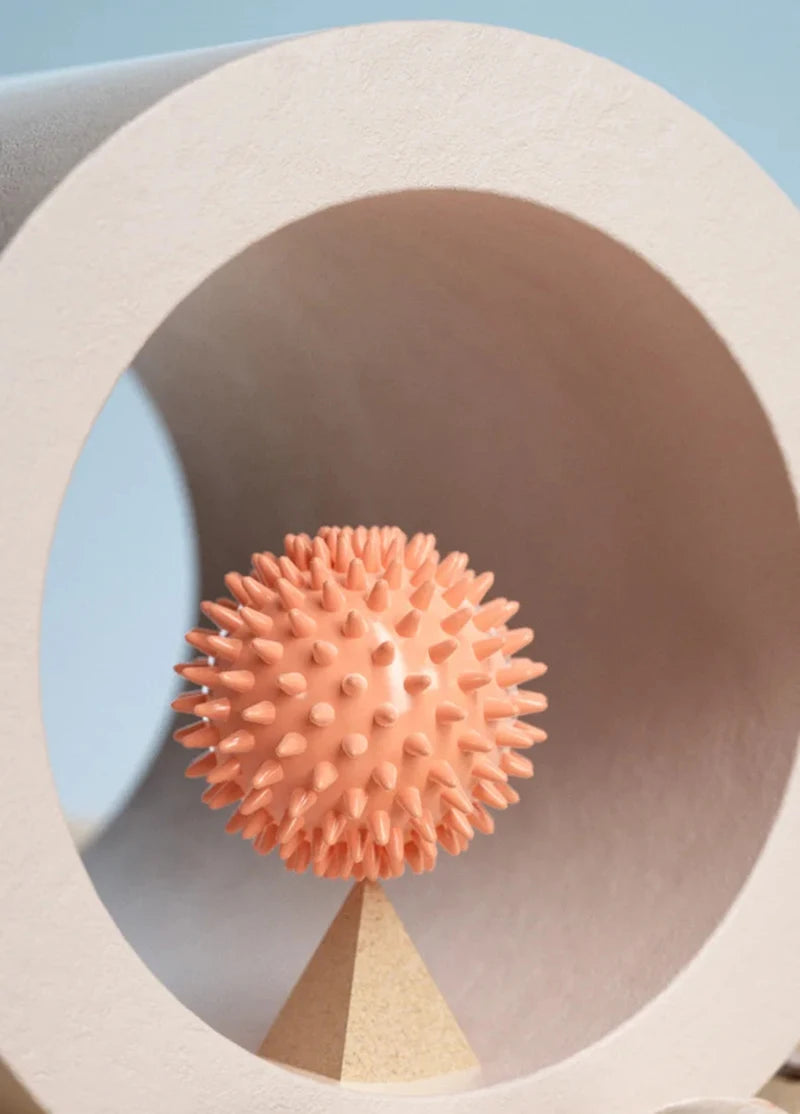 Hedgehog Fascia Massage Ball